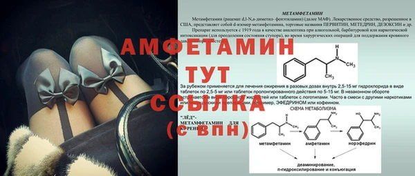 стафф Алексин