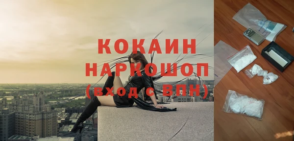 МДПВ Алзамай