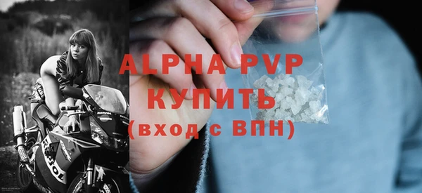 стафф Алексин